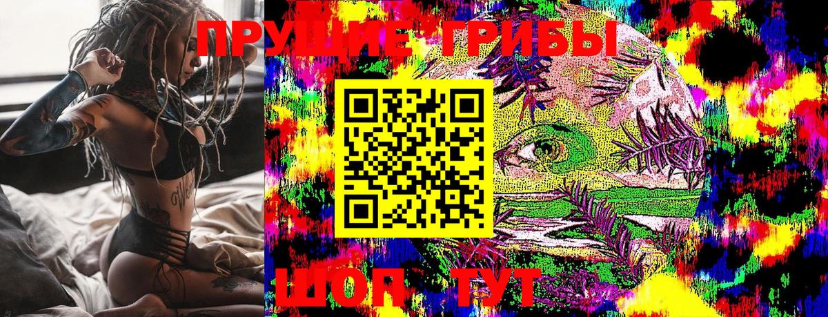 Псилоцибиновые грибы Psilocybine cubensis Евпатория